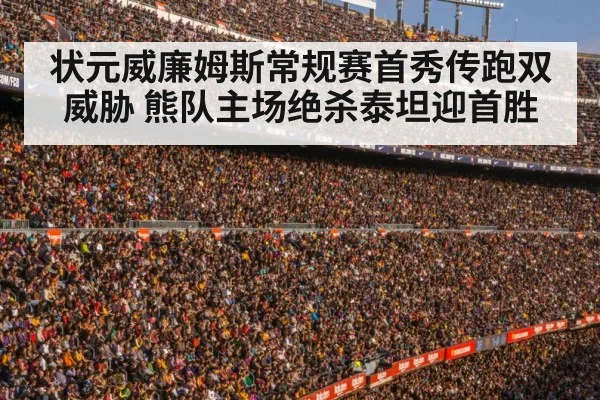 football stadium crowd