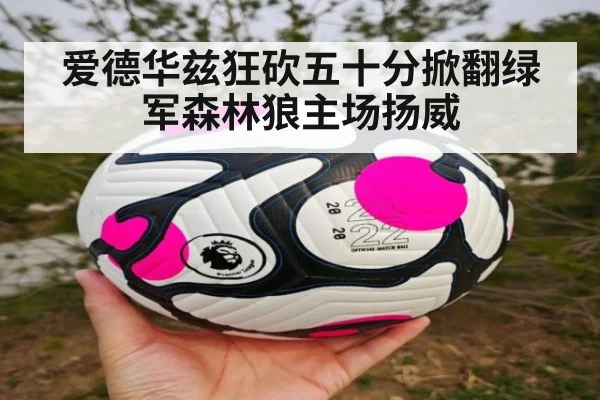 爱德华兹狂砍五十分掀翻绿军森林狼主场扬威